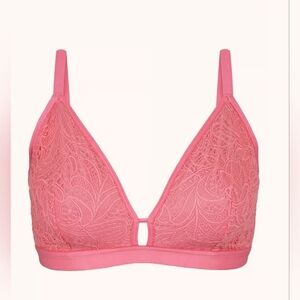 Lively Palm Lace Busty Bralette Size 2 Pink Hibiscus